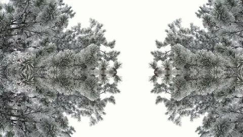 Artistic Abstraction Stock Footage 123015028