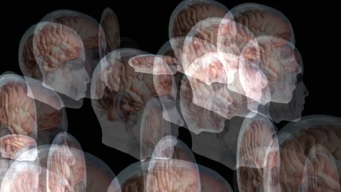 Artistic animation of human brains Stock Footage 151537751