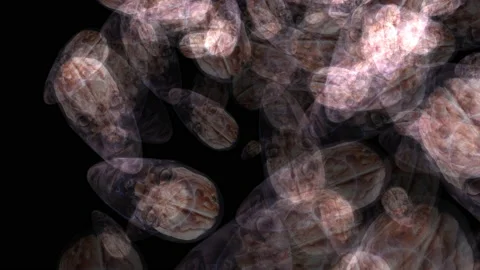 Artistic animation of human brains Stock Footage 151543328