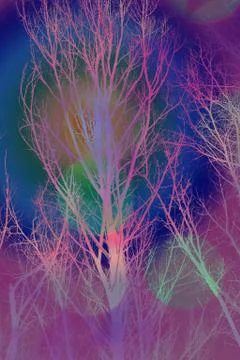 Artistic background with bare trees and colorful bokeh Illustrazione stock