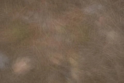 Artistic background of light brown abstract scratch pattern texture Stock Photos
