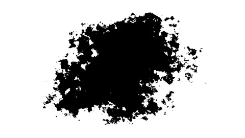 Artistic Black Ink Splatter Bloom with Flowing Paint Bleed on White 4K Animation Stock Footage 344456345