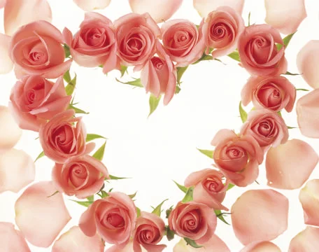 Artistic Border Stock Photos