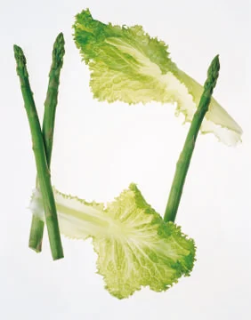 Artistic Border Stock Photos