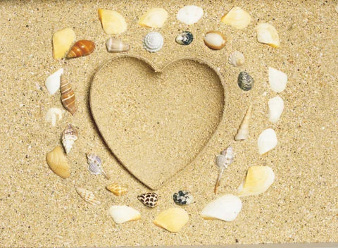 Artistic Border Stock Photos