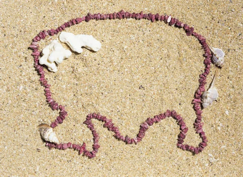 Artistic Border Stock Photos