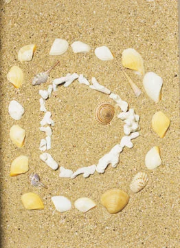 Artistic Border Stock Photos