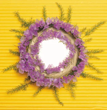 Artistic Border Stock Photos