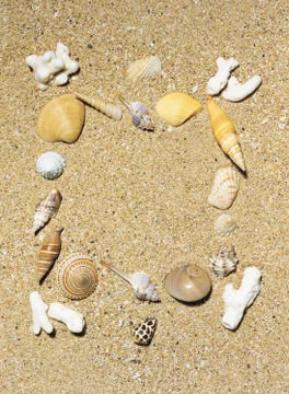 Artistic Border Stock Photos