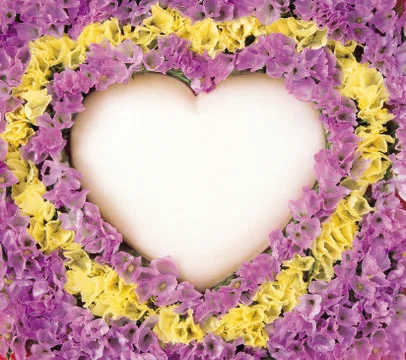 Artistic Border Stock Photos