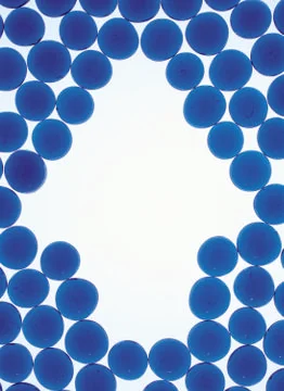 Artistic Border Stock Photos