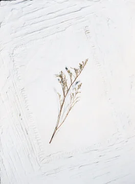 Artistic Border Stock Photos