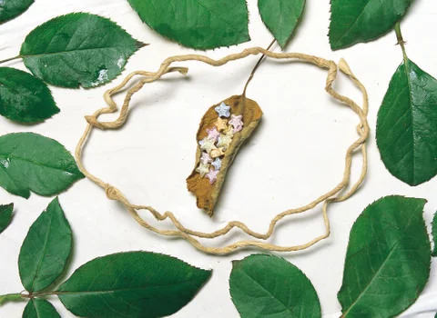 Artistic Border Stock Photos