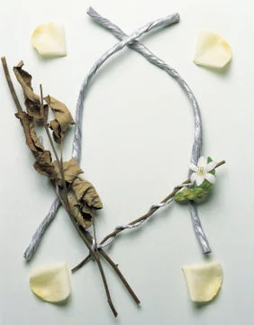 Artistic Border Stock Photos