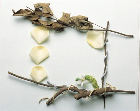 Artistic Border Stock Photos