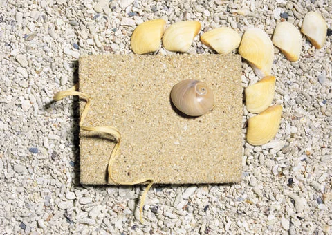 Artistic Border Stock Photos