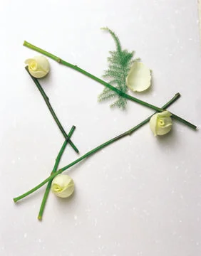 Artistic Border Stock Photos