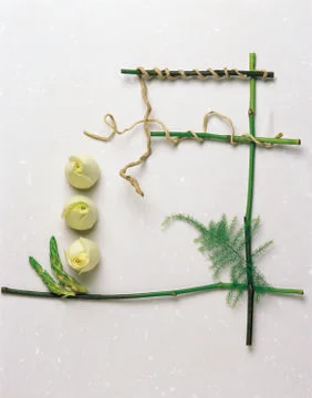 Artistic Border Stock Photos