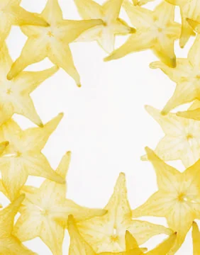 Artistic Border Stock Photos