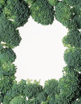 Artistic Border Stock Photos