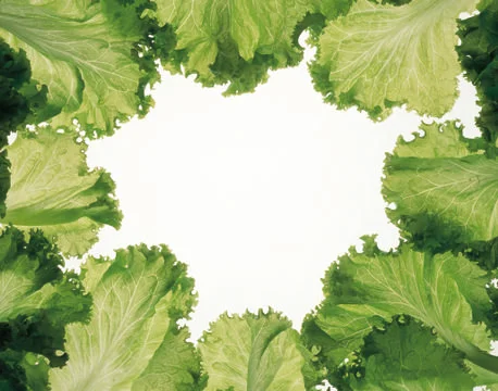 Artistic Border Stock Photos