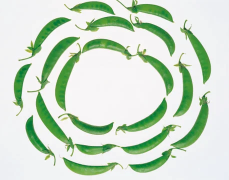 Artistic Border Stock Photos