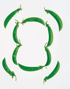 Artistic Border Stock Photos