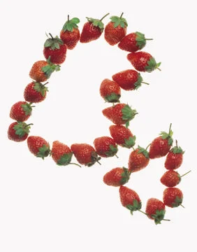 Artistic Border Stock Photos