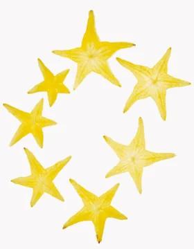 Artistic Border Stock Photos