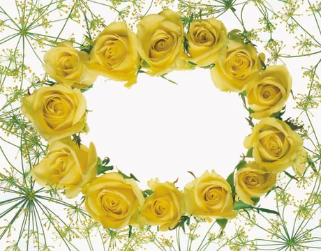 Artistic Border Stock Photos