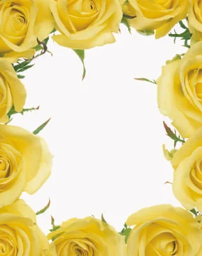 Artistic Border Stock Photos