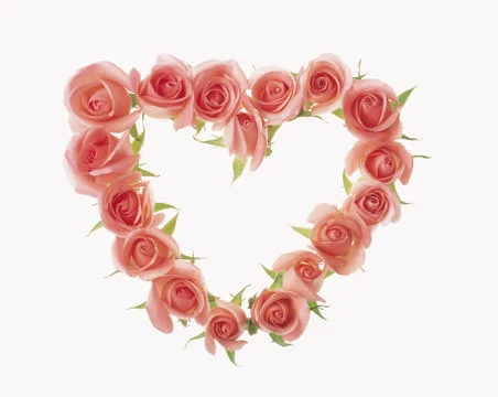 Artistic Border Stock Photos