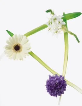 Artistic Border Stock Photos