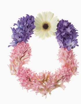 Artistic Border Stock Photos