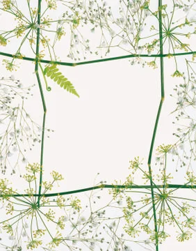 Artistic Border Stock Photos