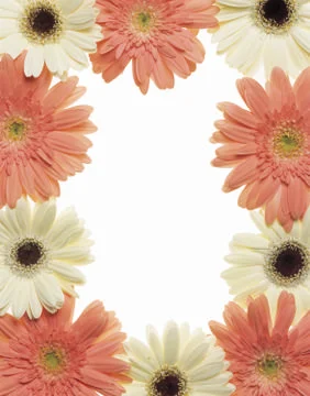 Artistic Border Stock Photos