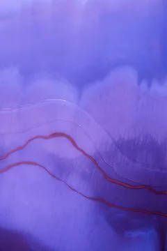Artistic bright splash. Liquid artwork. Purple marble texture. Abstract ether Stock Illustration
