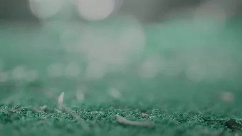 Artistic camera focus transfering Stock Footage 95549674