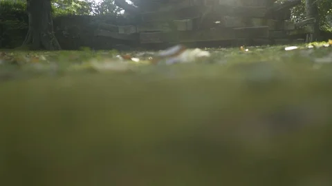 Artistic camera focus transfering Stock Footage 95549753