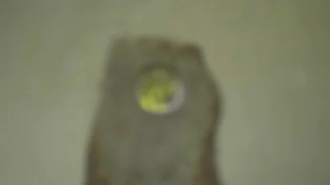 Artistic camera focus transfering Stock Footage 95550194