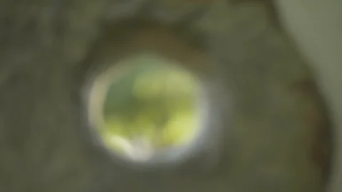 Artistic camera focus transfering Stock Footage 95550264