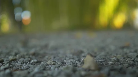 Artistic camera focus transfering Stock Footage 95550659