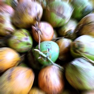 Artistic coconut concept Stock Photos