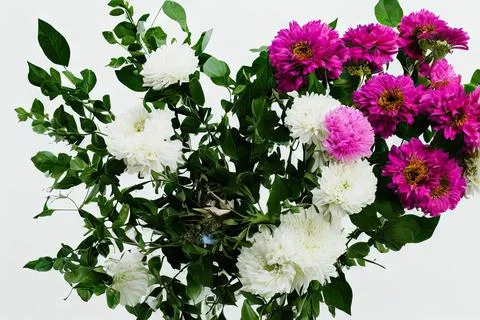 Artistic colourful flowers Stock Illustration