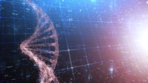 Artistic computer network binary numbers and dna chain Stock Footage 322131463