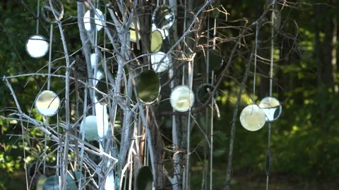 Artistic construction from natural elements using mirrors Stock Footage 157738142