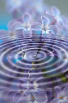 Artistic, creative and cgi water ripples with vibrant, blue and beautiful lilac 写真素材
