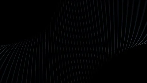 Artistic curved lines loop on black background Stock Footage 338305462