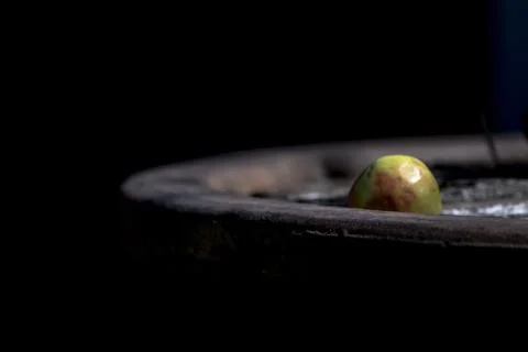 Artistic dark plate, captured in rustic and elegant food composition Stock Photos