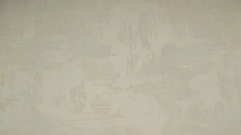 An Artistic Display Featuring Twisted Parsnips Presented in a Unique and 動画素材 284257300